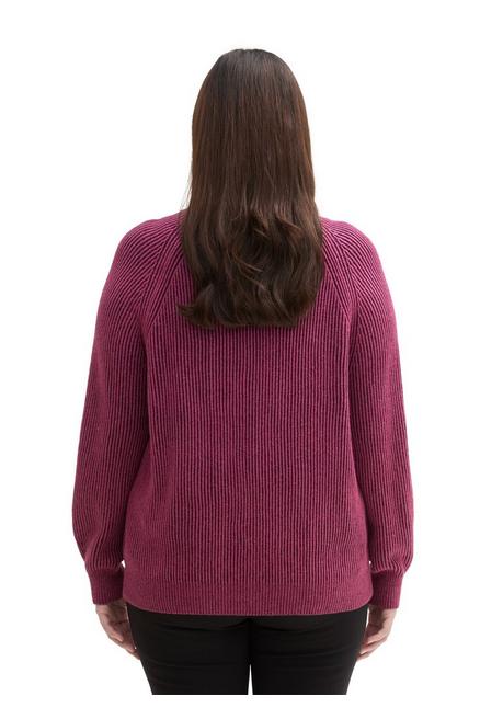 TOM TAILOR Plus Pullover im Rippstrick, mit Stehkragen - beere sheego im Angebot